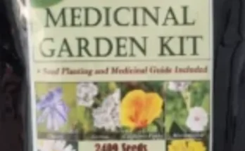 What Are the 10 Medicinal Plants?