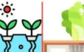 Aquaponics and Hydroponics: What’s the Difference?