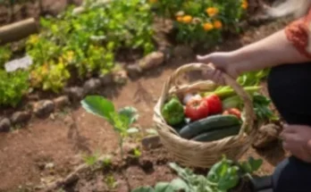 What is an Urban Gardener?