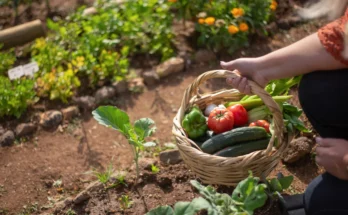 What is an Urban Gardener?
