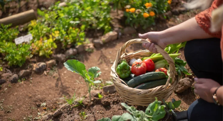 What is an Urban Gardener?