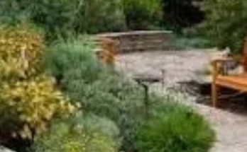 Native Plant Landscaping