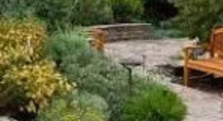 Native Plant Landscaping