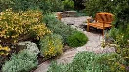 Native Plant Landscaping